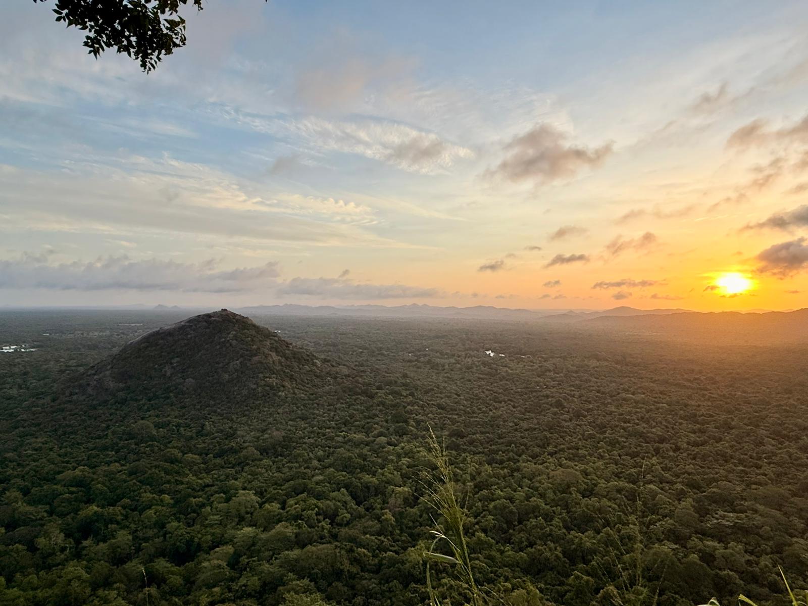 MANUAL_REPLACE: [High-res scenic Sri Lankan tea plantation background]